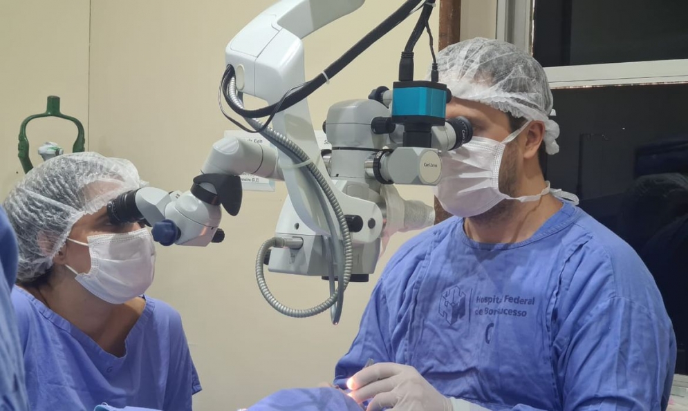 Transplantes de &oacute;rg&atilde;os e tecidos em S&atilde;o Paulo aumentam 52%