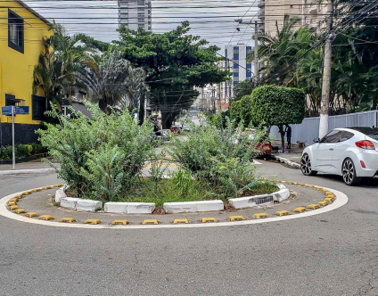 PlanClima SP orienta iniciativas na capital com 43 ações prioritárias