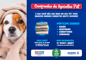 Fundo Social inicia Campanha do Agasalho Pet