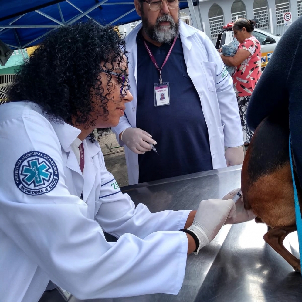 Departamento de Zoonoses inicia agendamento para vacinar c&atilde;es e gatos