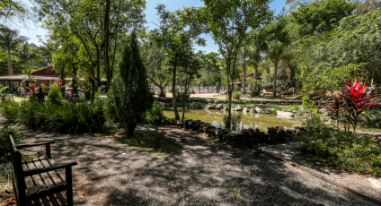 Osasco reabre parques com regras e horário reduzido