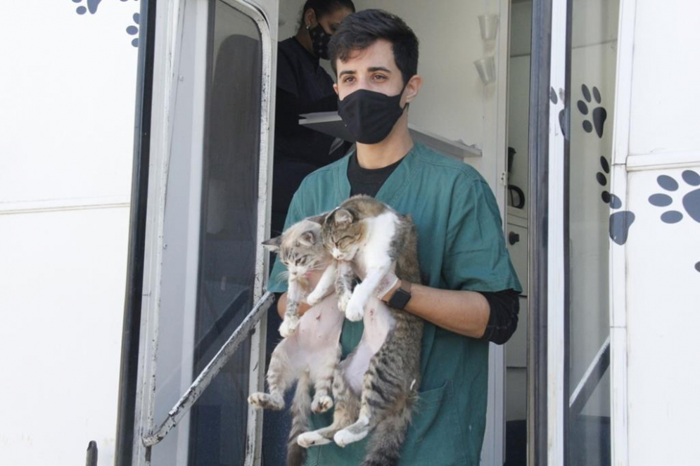 Barueri castrou quase 18 mil animais dom&eacute;sticos desde 2017