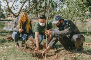 Cotia comemora Dia de Prote&ccedil;&atilde;o &agrave;s Florestas plantando &aacute;rvores nativas