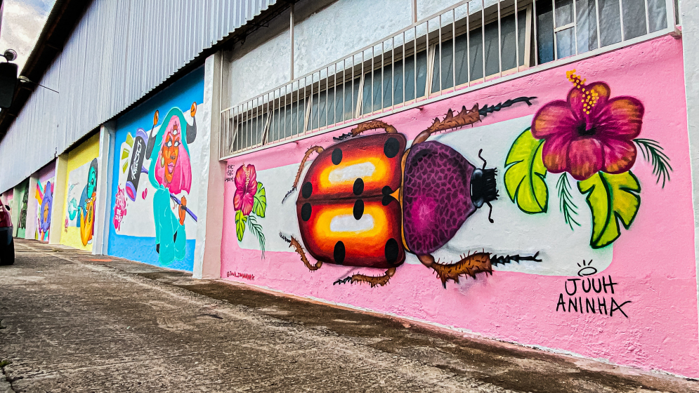 Projeto Grafitar realiza novo mural em Itapevi